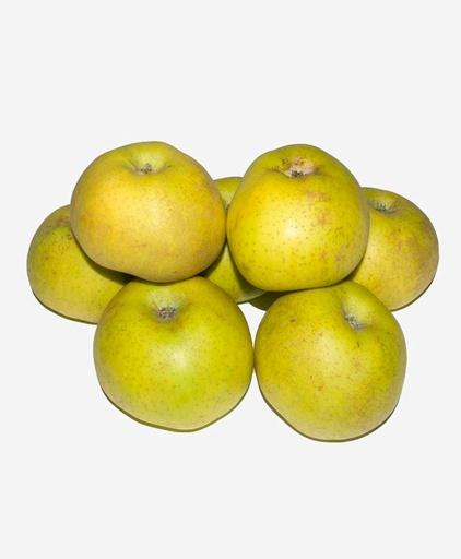 MANZANA REINETA CHANTECLERC GRANDE (kg)