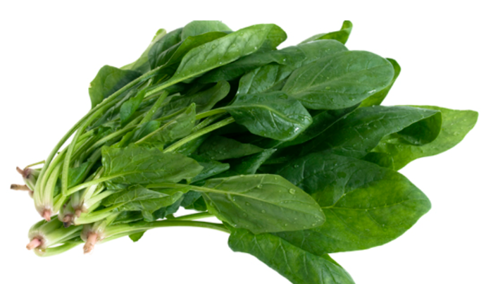 ESPINACA MAN. GRDE. Zouhir (400 g