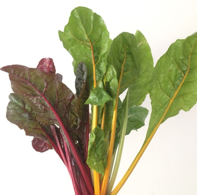 ACELGA DE COLORES (kg)