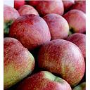 MANZANA FUJI La Rioja (kg)
