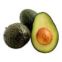 AGUACATE HASS Malaga(kg)