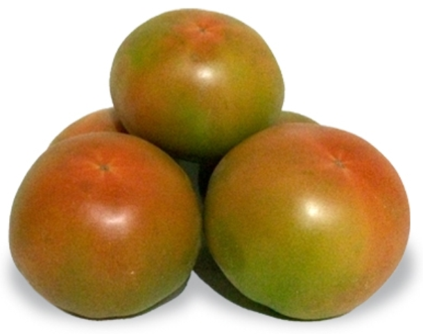 TOMATE JACK (kg)