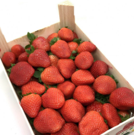 FRESA  (caja de 900 g)
