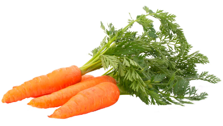 AZENARIO HORTEC (man)