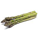 ESPARRAGO TRIGUERO FRESCO (350 g)