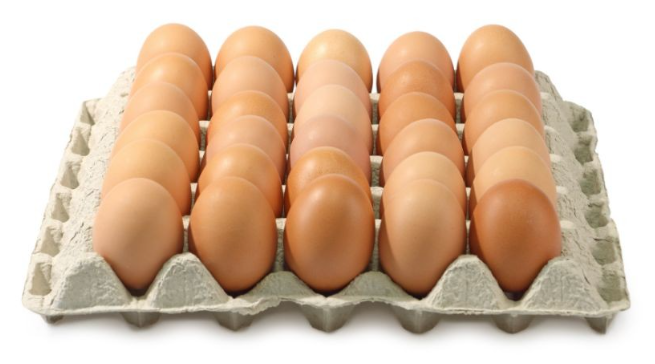 HUEVOS M EN PLANCHETAS Hobea (Zalduondo) (solo pabellon)