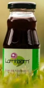 ZUMO DE ARANDANO Larrinbarri (200 ml)