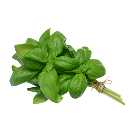 ALBAHACA VERDE (manojo)