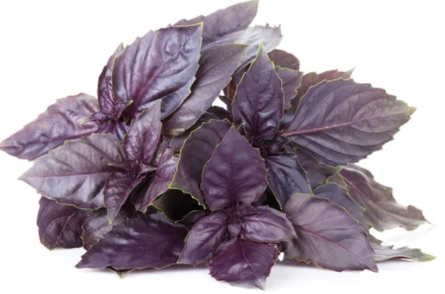ALBAHACA MORADA (manojo)
