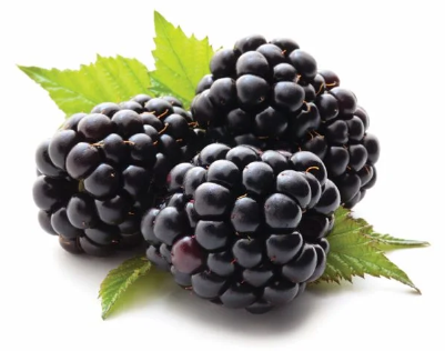MORAS (tarrina 125 g)