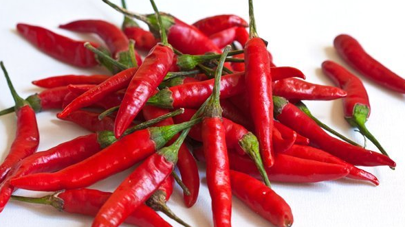 GUINDILLAS PICANTE JALAPEÑO (kg)