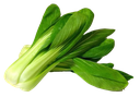 TATSHOI (250 g)