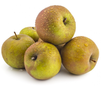 MANZANA REINETA CANADA GRIS (kg)
