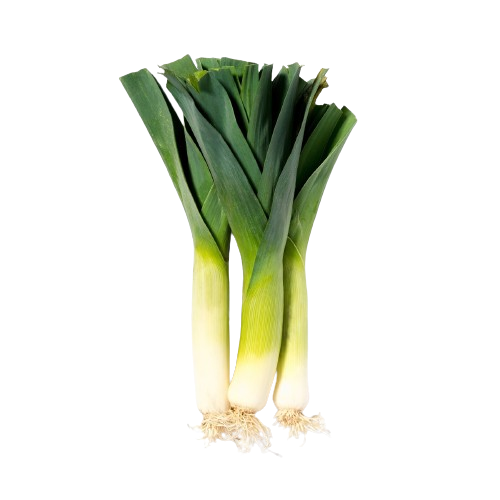 [1010215] PUERRO Oscar/Jose Mari (kg)