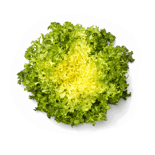 [1010210] ESKAROLA (unt)