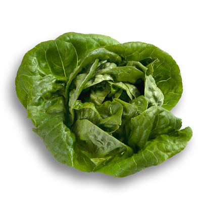 [1010208a] COGOLLO Zouhir (und)