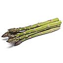 [1010325b] ESPARRAGO TRIGUERO Uztaldi (250 g)