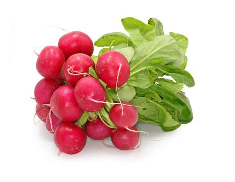 [1010360] RABANITO Zouhir (manojo)