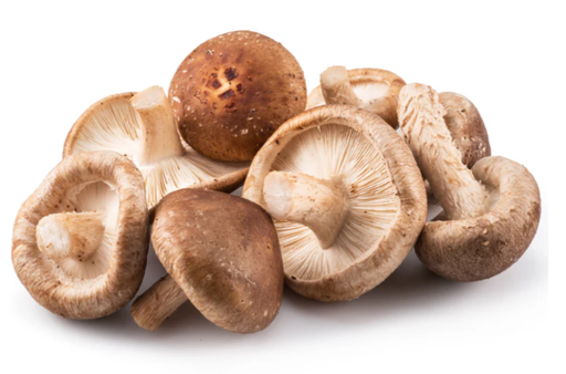 [10102161] SETA SHIITAKE Delika2 (100 gr)
