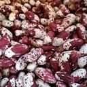 [20110042] ALUBIA EZKEREKOTXA (kg)