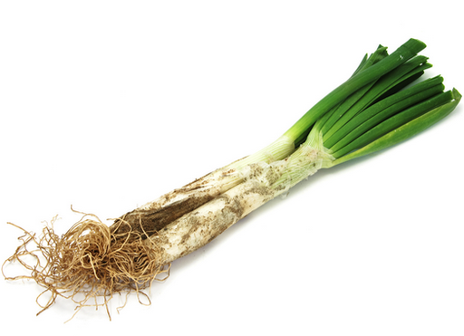 [1010220] CALÇOT (kg)