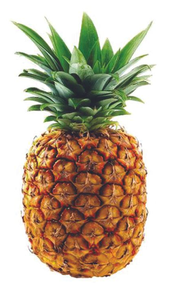 [1020141] PIÑA (kg)