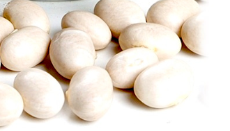 [20110043] ALUBIA BLANCA COCO (kg)